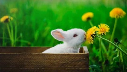 kaiyun-U23国足期待创造历史